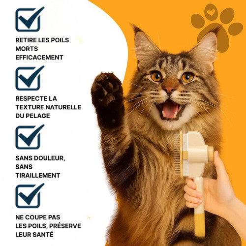 Brosse Pour Chat à Poils Longs - Courts Et Épais