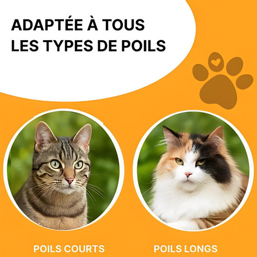 Brosse Pour Chat à Poils Longs - Courts Et Épais