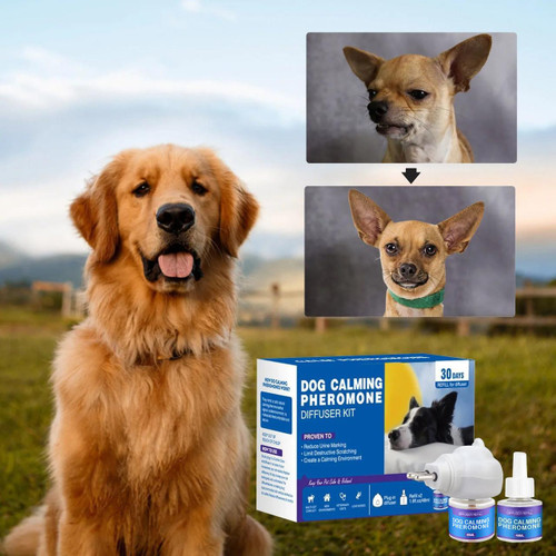 Diffuseur Anti-Stress Pour Chien Aux Phéromones