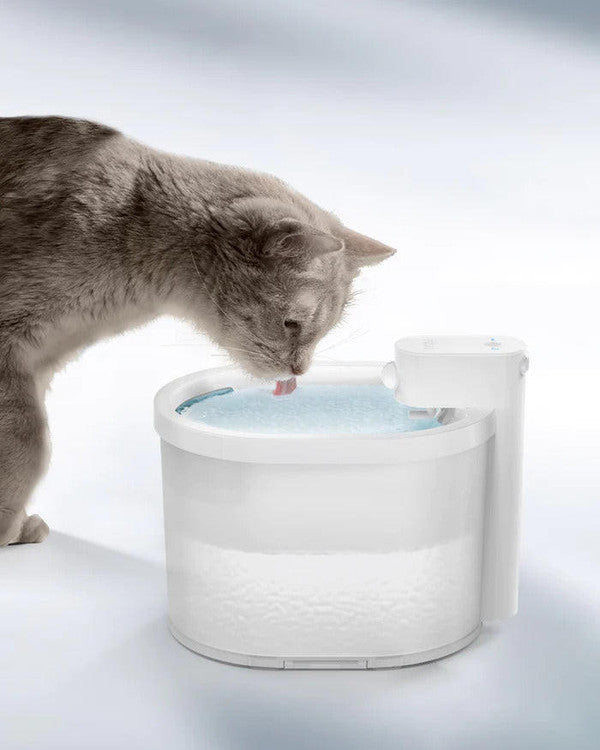 Fontaine à eau Pour Chat Sans Fil - CatCaire™