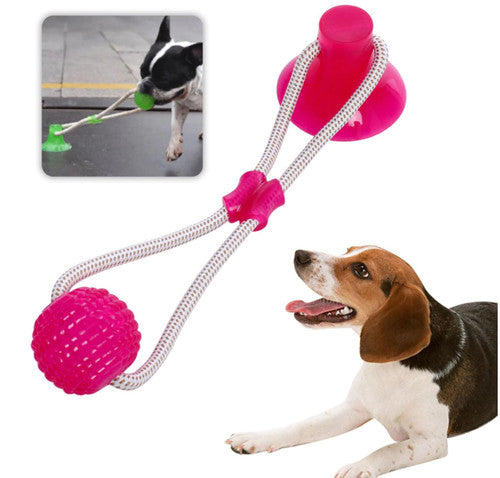 Jouet à Mâcher Spécial Molaire Flexible pour Chien