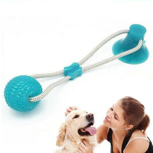 Jouet à Mâcher Spécial Molaire Flexible pour Chien