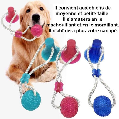 Jouet à Mâcher Spécial Molaire Flexible pour Chien