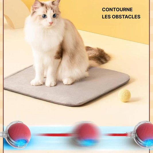 Jouet Interactif pour Chat Et Chien - Balle Intéractive Et Intelligente