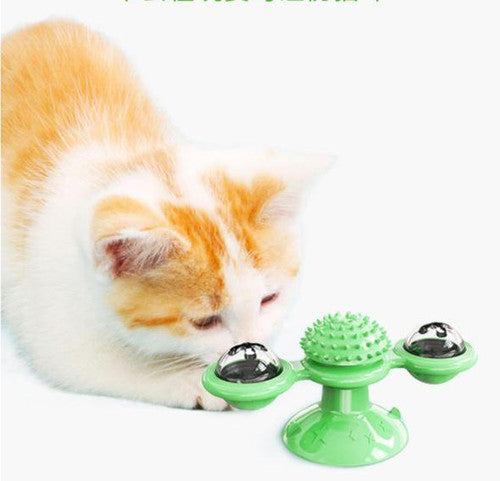 Jouet pour chat - Nettoyage dents des chats