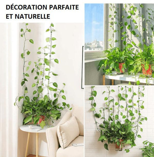 Support Mural Pour Plantes