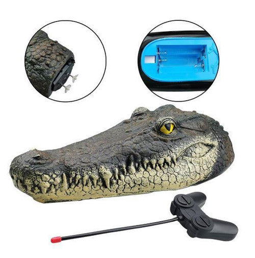 Tête De Crocodile Avec Télécommande