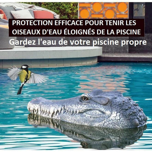 Tête De Crocodile Avec Télécommande