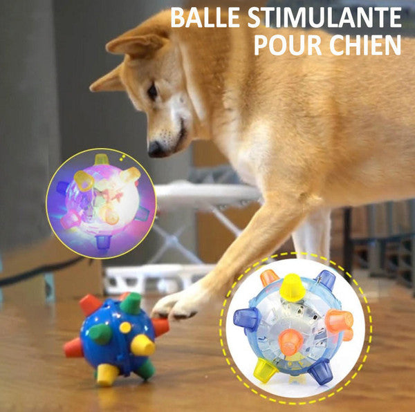Balle rebondissante chien Eyenimal Paw Ball • Jouets pour chiens