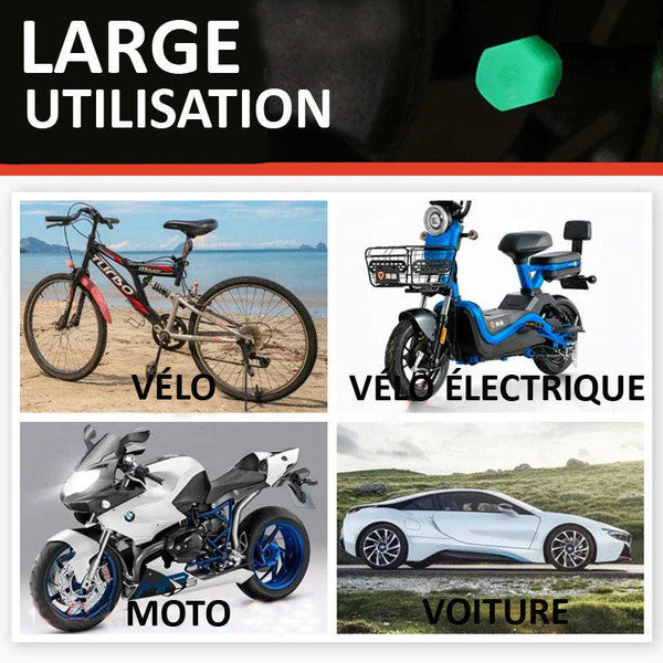 Bouchon de Valve, 10 Pieces, pour Vélo, Voiture, Moto